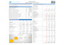 prepare investor ready financial feasibility